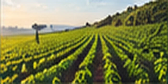 Agribusiness sector